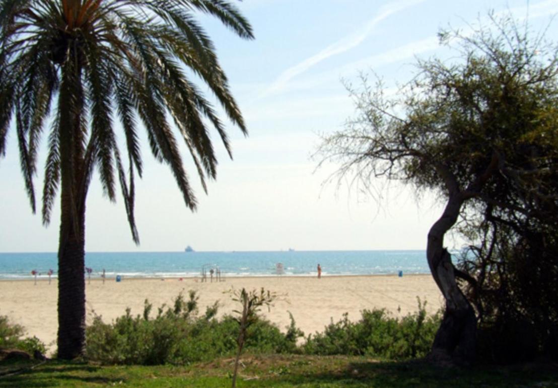 Una isla en la ciudad Castellón de la Plana Exterior foto